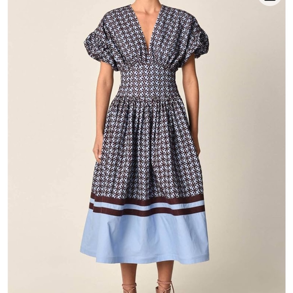 NWT Blue and Brown. Puff Sleeves. Silvia Tcherassi Dress. Size Large